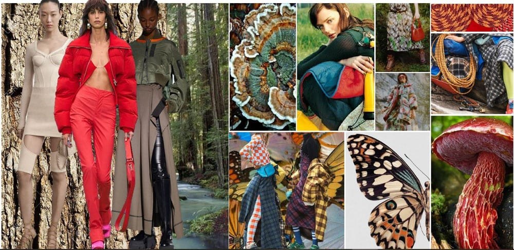 Fall Collection 2022