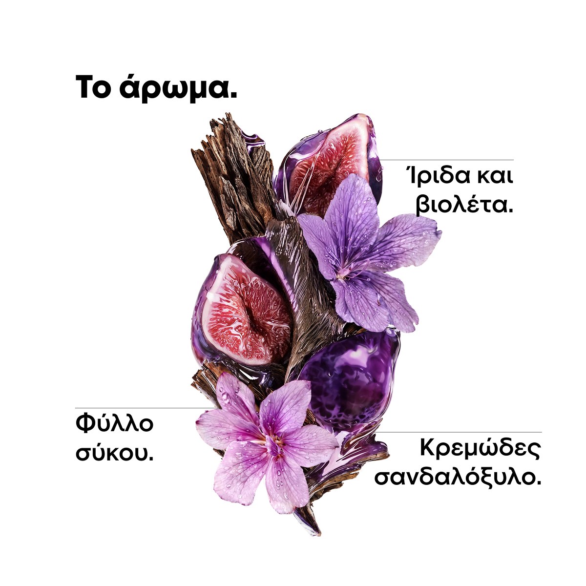 L’Oréal Professionnel Keratin Alpha Sleek Professional Shampoo (300ml) φωτογραφία