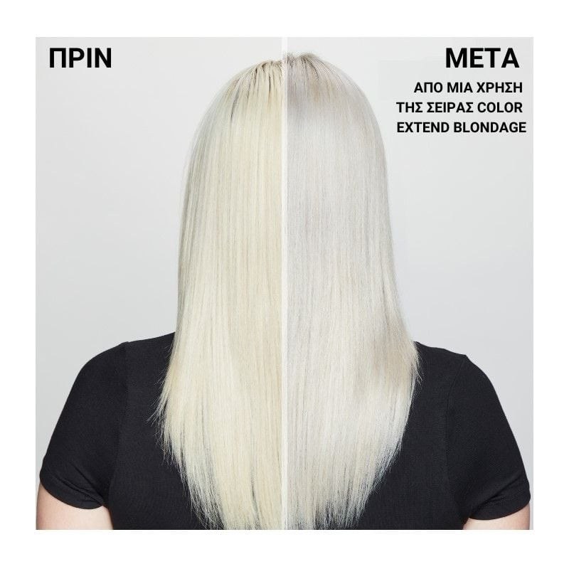 Redken - Color Extend Blondage Express Anti-Brass Mask (250ml) φωτογραφία