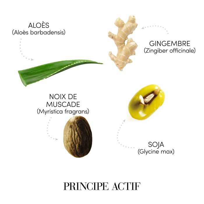 Medavita Requilibre - Sebum-Balacing Shampoo (250ml) φωτογραφία