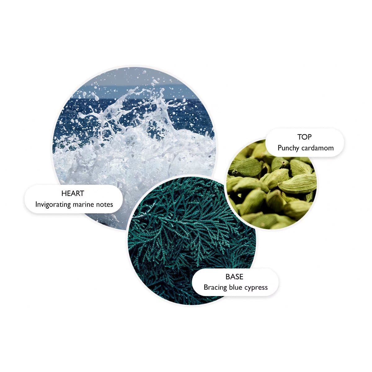 Molton Brown Coastal Cypress & Sea Fennel Hand Lotion (300ml) φωτογραφία