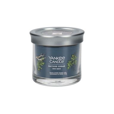 Yankee Candle Bayside Cedar (122g)