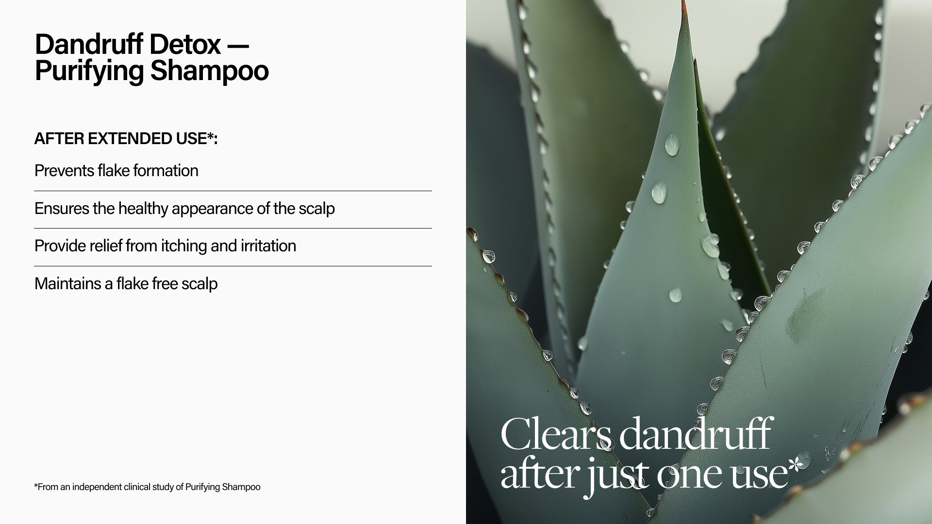 Keune Dandruff Detox Purifying Shampoo (300ml) φωτογραφία