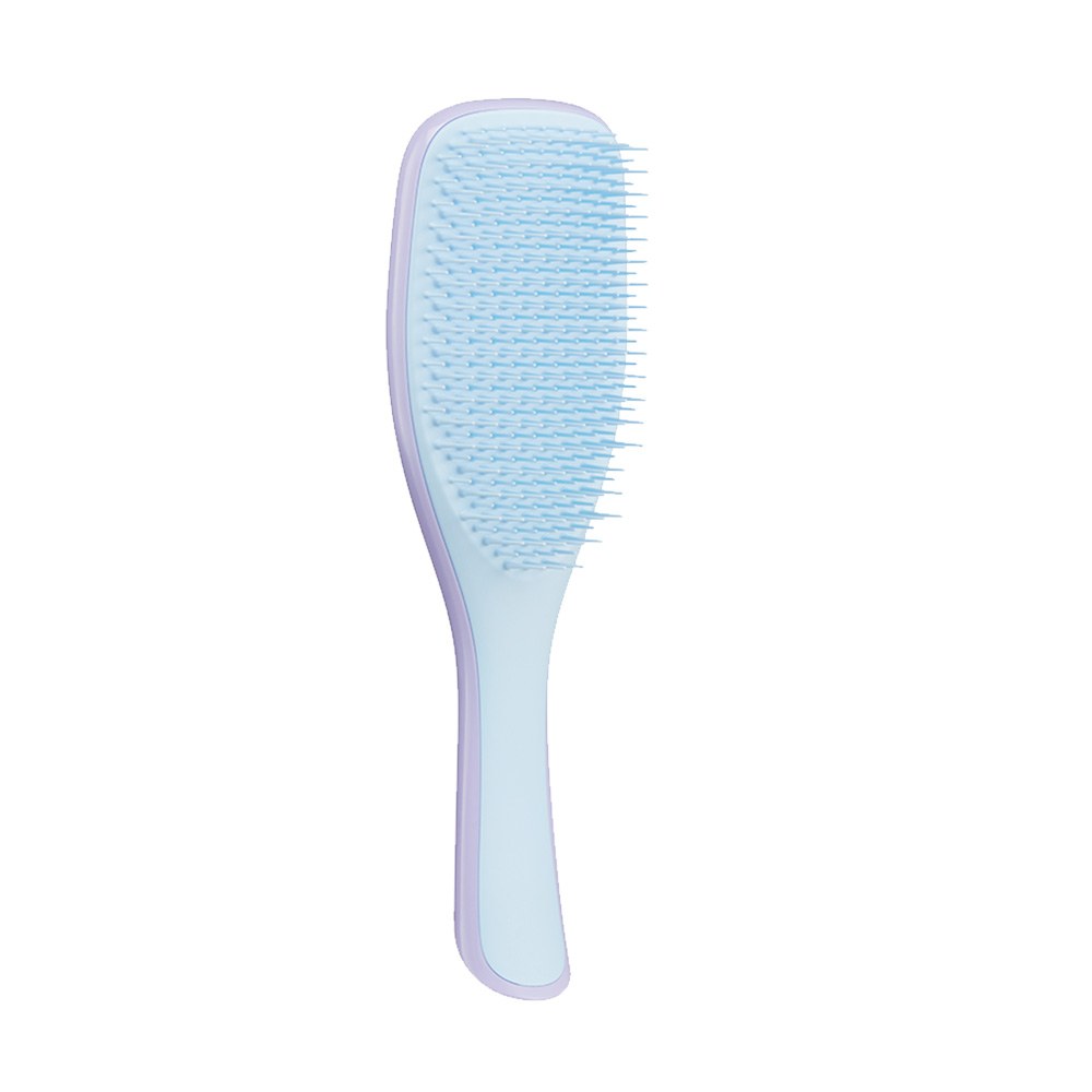 Tangle Teezer Detangling Hairbrush Regular - Lilac Cloud & Blue