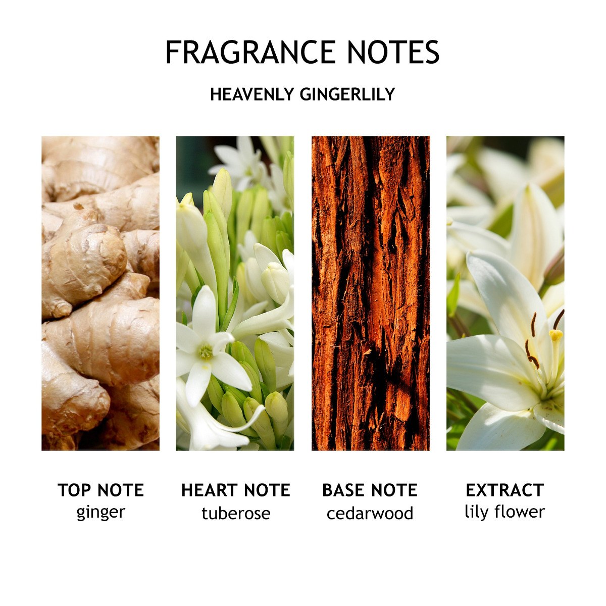 Molton Brown Heavenly Gingerlily Body Lotion (100ml) φωτογραφία