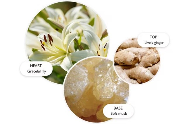 Molton Brown Heavenly Gingerlily Body Lotion (100ml) φωτογραφία