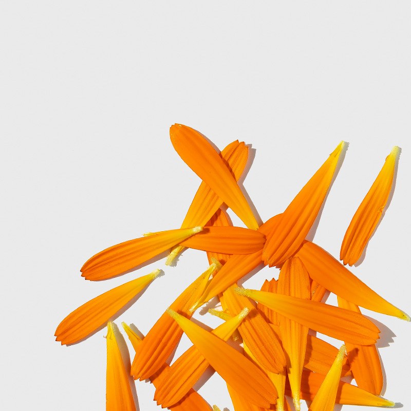 Dermalogica Daily Glycolic Cleanser (295ml) φωτογραφία