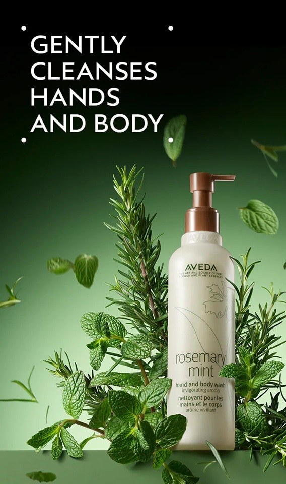 Aveda - Invigorating Awe Rosemary Mint Hair & Body Essentials Gift Set (Shampoo 250ml, Conditioner 250ml & Body Wash 250ml) φωτογραφία