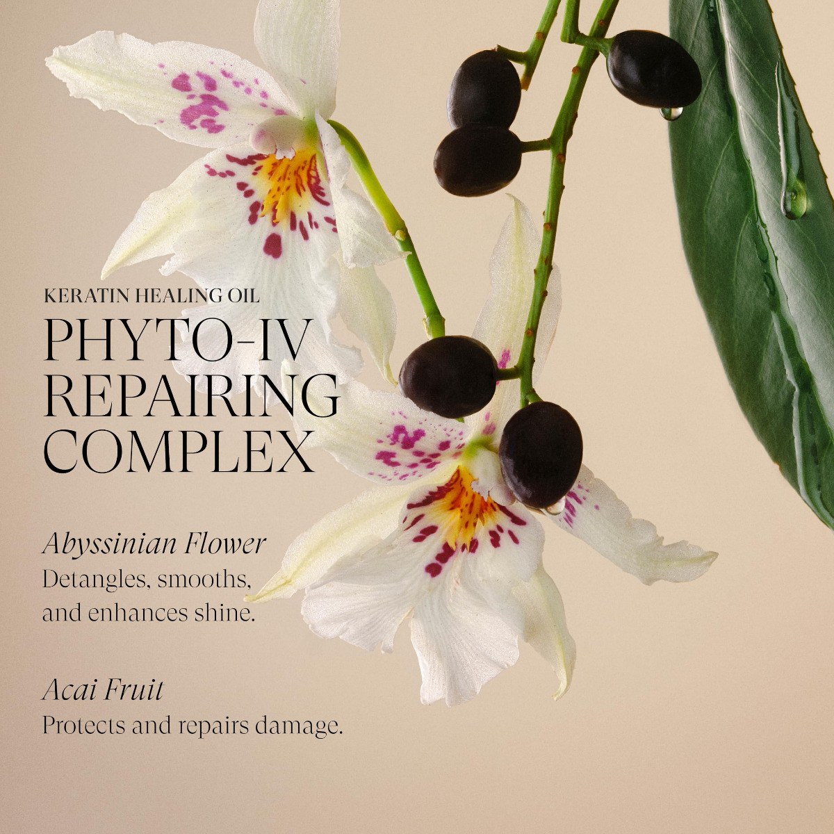 L'Anza Keratin Healing Oil Hair Treatment (100ml) φωτογραφία