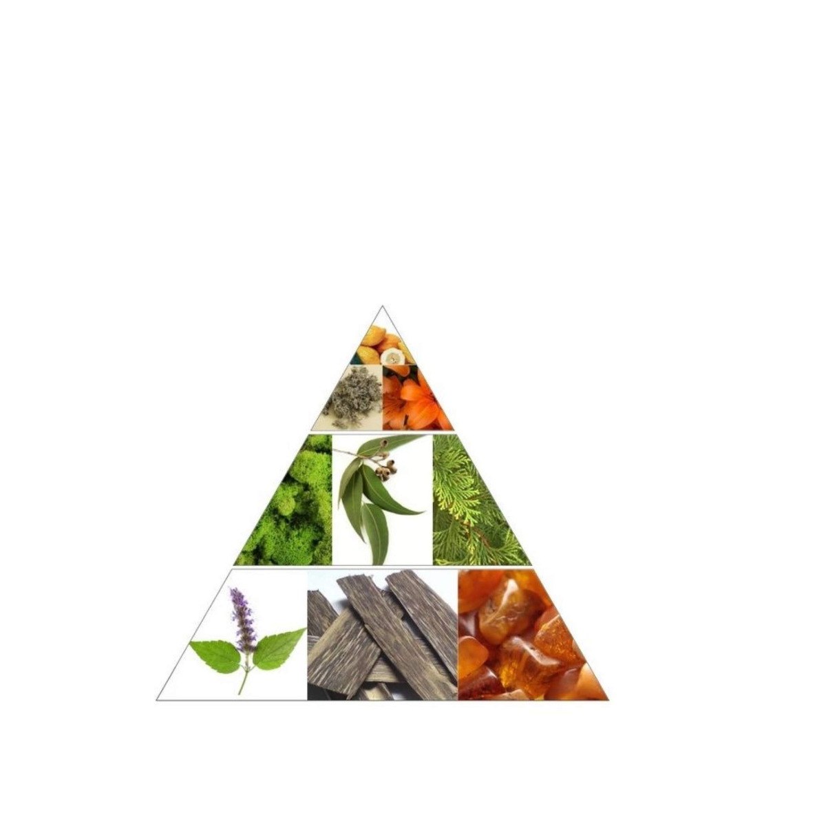 Ard Al Zaafaran Majd Al Shabab Sport Eau De Parfum (100ml) φωτογραφία