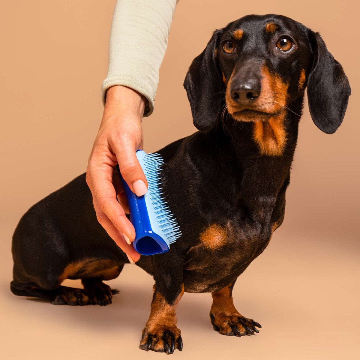 Tangle Teezer Pet Teezer De-Shedding Dog Grooming Brush Small - Navy/Sky φωτογραφία