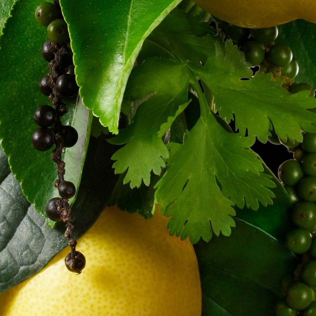 Molton Brown Re-Charge Black Pepper Body Lotion (300ml) φωτογραφία