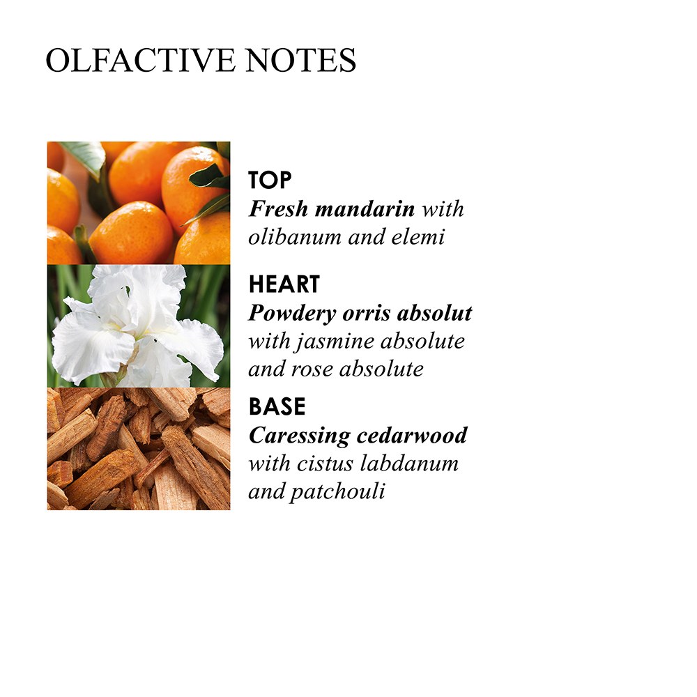 Molton Brown Suede Orris Body Lotion (300ml) φωτογραφία